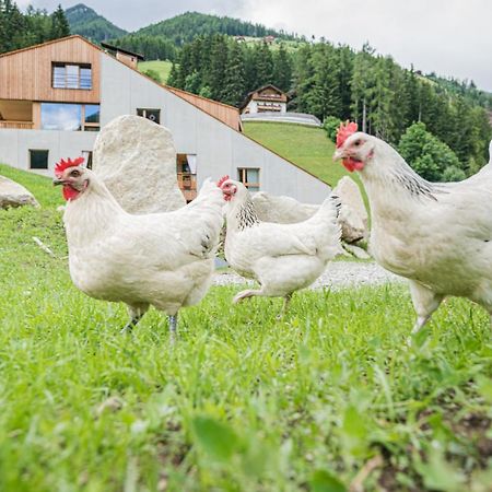 Koasa-Hof Ganzes Ferienhaus Und Sauna 5 Zimmer 240Mq Cadipietra Buitenkant foto